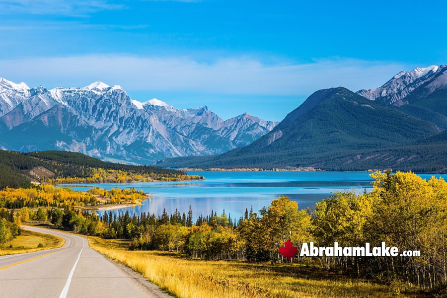 February at Abraham Lake