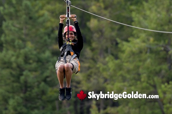 Golden Skybridge in February